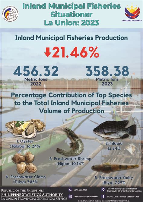 biggest fish in philippines|IN NUMBERS: The Philippines' fisheries sector .